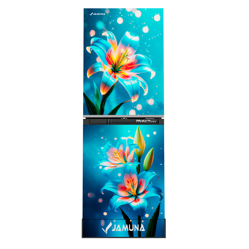 Jamuna 234L Direct Cool Refrigerator JE5-TM2B7HQD - Ocean Lily